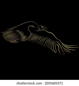 Golden border Cinereous Vulture, Bird flying over black background ,Vector Line Art Concept And Design