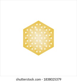 Golden Box Hexagon logo vector