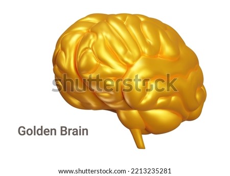 Golden Brain 3d object. Human organ, gold color. Isolated on a transparent background