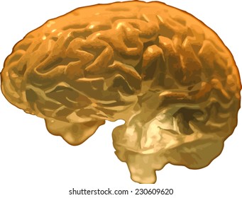 golden brain isolated on white vector 3d image