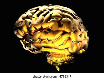 Golden Brain (vector)