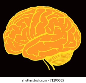golden brain for web design on black background