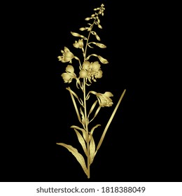 
Golden branch of fireweed flower on black background. Chamaenerion or Epilobium angustifolium.