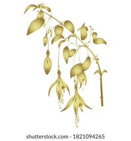 Golden branch of fuchsia flower. 