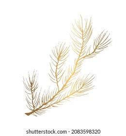 Golden branch of spruce. Shiny with gold needles. Vector illustration. For web pages and printing.