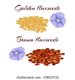 Golden and brown flaxseeds (linseeds). Vector illustration.