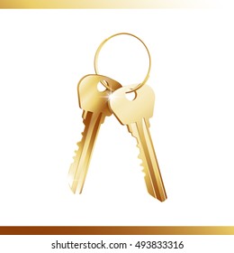 Golden bunch of keys isolated over white background. Vector illustration 10 EPS