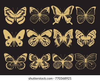 Golden butterflies decoration of collection on black background. Vector illustration