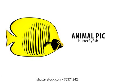 golden butterfly fish on white (illustration)