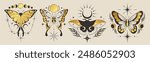 Golden butterfly. Mystic gold poster. Sun, moon and botanical elements. Esoteric boho moth. Tarot decor, mystery card celestial astrology. Boho tattoo vintage. Vector symbol bohemian magic minimal set