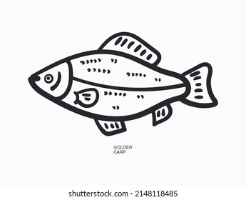 ilustración vectorial de dibujos de peces de carpa dorada