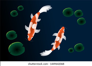 Golden carp fish. Japenes pet fish underwater