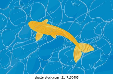 Golden carp in the waters of the pond. Vector stock illustration. Background wallpaper.