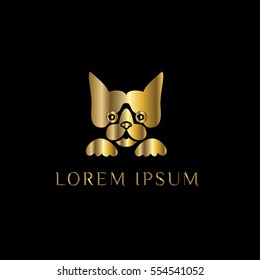 Golden cat vector logo design template