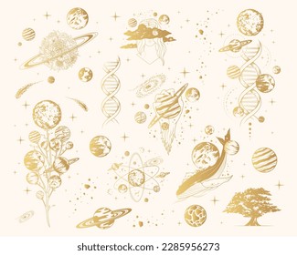 Golden celestial space compositions isolated set. Hand drawn vector illustration of mystical planets, stars, whales and trees for poster and greening card.