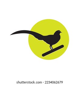 golden chinese pheasant icom vector illustration simple design