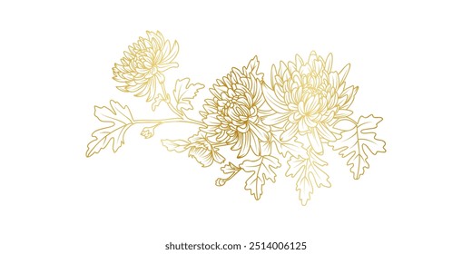 Chrysanthemum dourado flores linha arte isolado no fundo branco. Luxo Chrysanthemum elementos de design floral para convite, casamento, papel de parede, modelo de impressão, ilustração vetorial