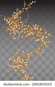 Golden Circle Luxury Vector Black Transparent Background. Rich Star Invitation. Red Shine Falling Illustration. Splash Effect Design.