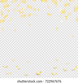Golden confetti falls isolated. Vector illustration.