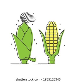 Golden corn on white background. Untreated organic food. Healthful product. Young yellow ear of maize with green leaves. Vegetarian healthy eating. Flat line art icon. Two kinds isolated object.
