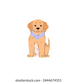 A golden cute Labrador puppy with a blue scarf around its neck. Cute vector image of a sitting happy dog, on a white background, suitable for pet icons or logos.