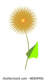 Golden dahlia