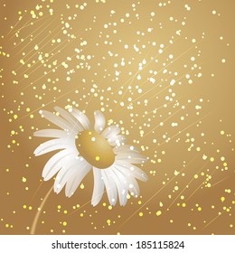 golden daisy background