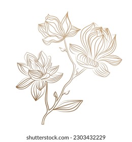 Golden decorative branch and magnolia flowers in linear style  Wedding bud  hand drawn  elegant leaves for invitation  Drawing   sketch and line art white background 