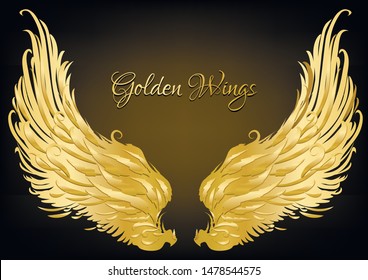 Gold wings beautiful design with modern concept Vector Image