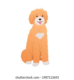 Golden doodle sitting on white background. Adorable dog colorful cartoon illustration in flat style. Friendly curly-haired puppy