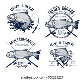 Golden Dorado Fishing Logo. Vector Illustration.