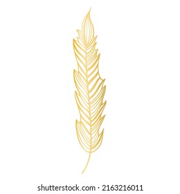 Golden Drawn Striped Feather Isolated Vector Stock Vector (Royalty Free ...