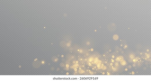Golden dust of light. Glow bokeh. Christmas light background. Christmas glowing lights side light confetti.