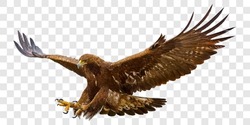 Golden Eagle Attack Landing Swoop Hand Draw And Paint Color On Grey Checkered Background Vector Illustration.