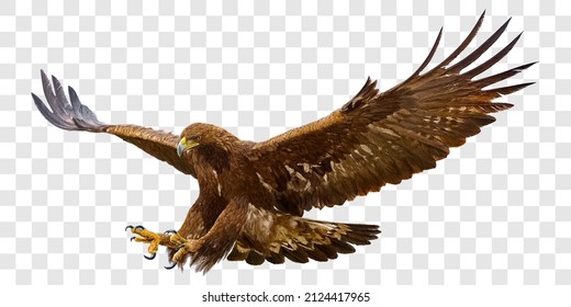Golden eagle attack landing swoop hand draw and paint color on grey checkered background vector illustration.
