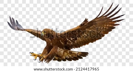 Golden eagle attack landing swoop hand draw and paint color on grey checkered background vector illustration. ストックフォト © 