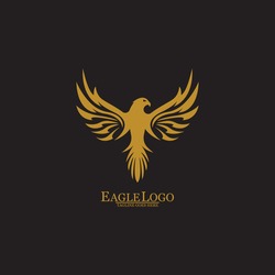 Golden Eagle With Black Background, Vector, Illustration