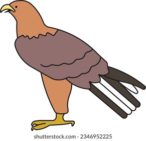 Goldadler-Adler-Falkenflieger-Vogel - Übersicht