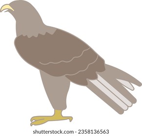 ave dorada de águila