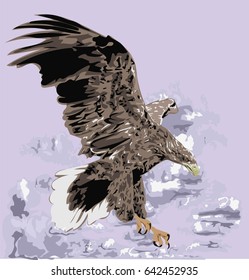 Golden Eagle  Flying In Sky - Flying Eagle - Vector 