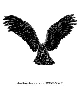 golden eagle flying vector illustration isolated on white background