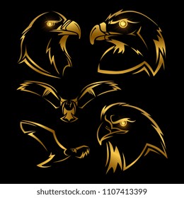 Golden eagle, hawk vector mascots set. Shine eagles vector isolated on black background illustration