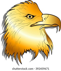 Golden Eagle head. Vector
