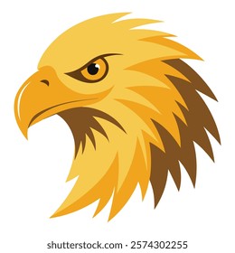 Golden eagle head white background. 