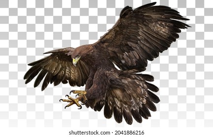 Dibujo manual de aterrizaje de águila dorada y pintura en la ilustración vectorial de fondo de cuadros blancos grises.