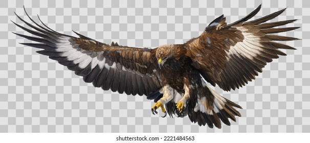 Golden eagle landing hand draw and paint on grey white checkered background vector illustration.