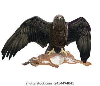 Golden eagle with open wings perching on a killed hare or rabbit. Birds of prey. Hunter with the caught victim. Vector illustration isolated on a white background in realistic style