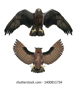 Golden eagle and owl with spreading wings. Vector illustration isolated on white background