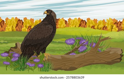 Golden eagle sits on the trunk of a fallen tree on an autumn field with trees and flowers. Realistic vector landscape