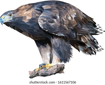 Golden eagle stands on a stone leaning forward. A bird of prey peers into the distance. Vector. Polygonal graphics.